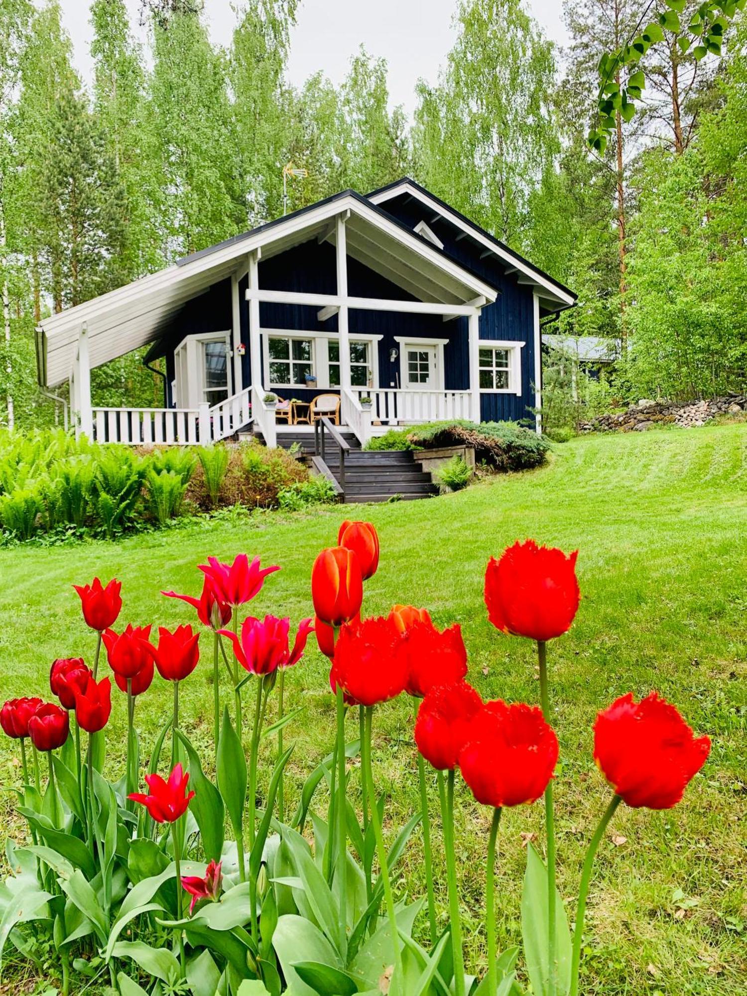 Blueberry Villa At Saimaa Lakeside Taipalsaari Exterior foto