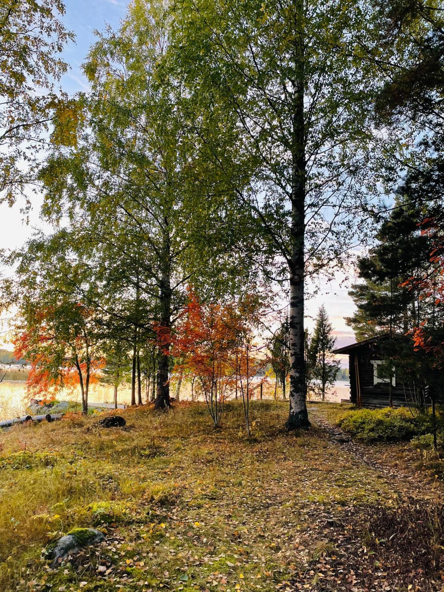 Blueberry Villa At Saimaa Lakeside Taipalsaari Exterior foto