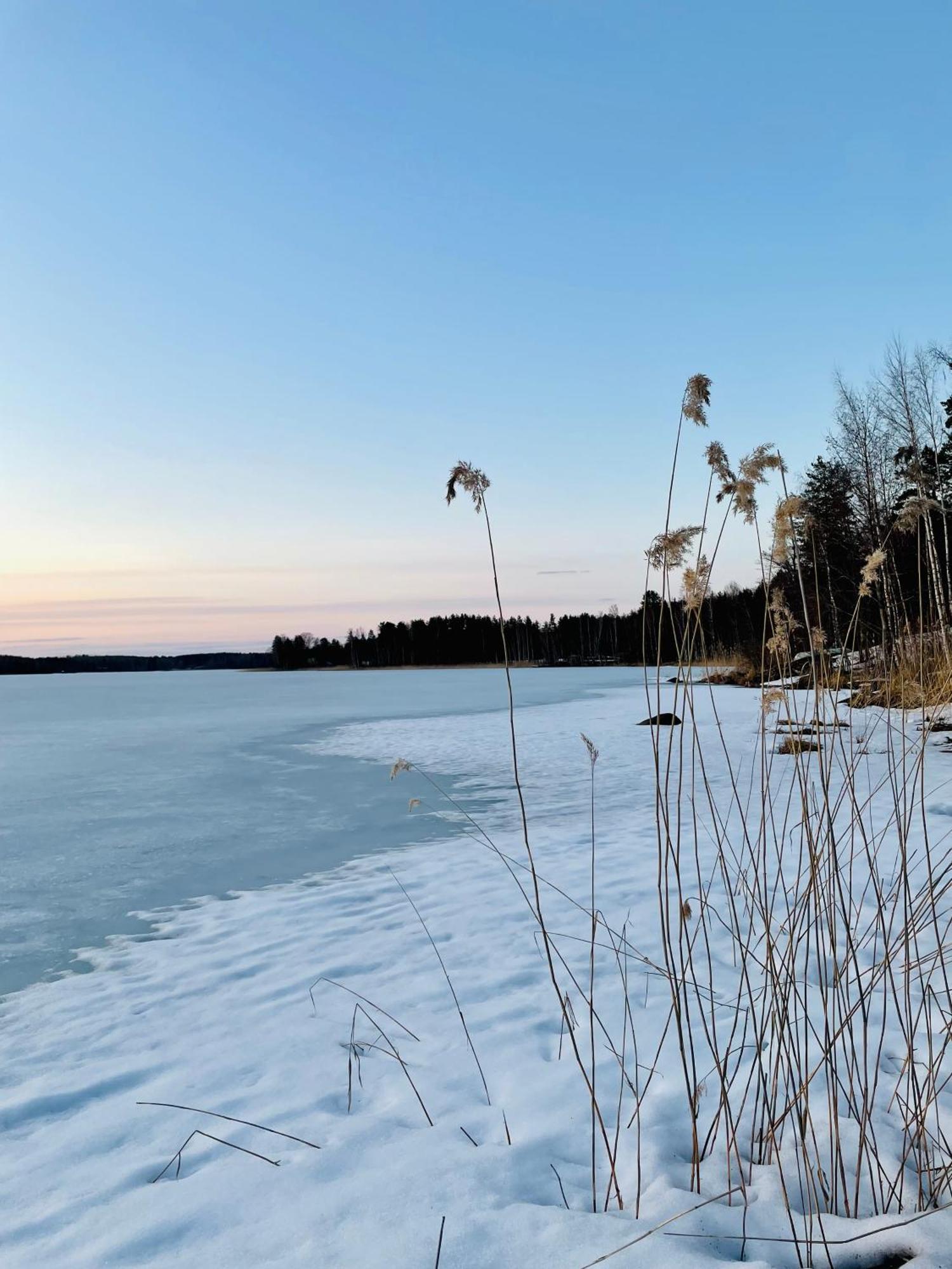 Blueberry Villa At Saimaa Lakeside Taipalsaari Exterior foto