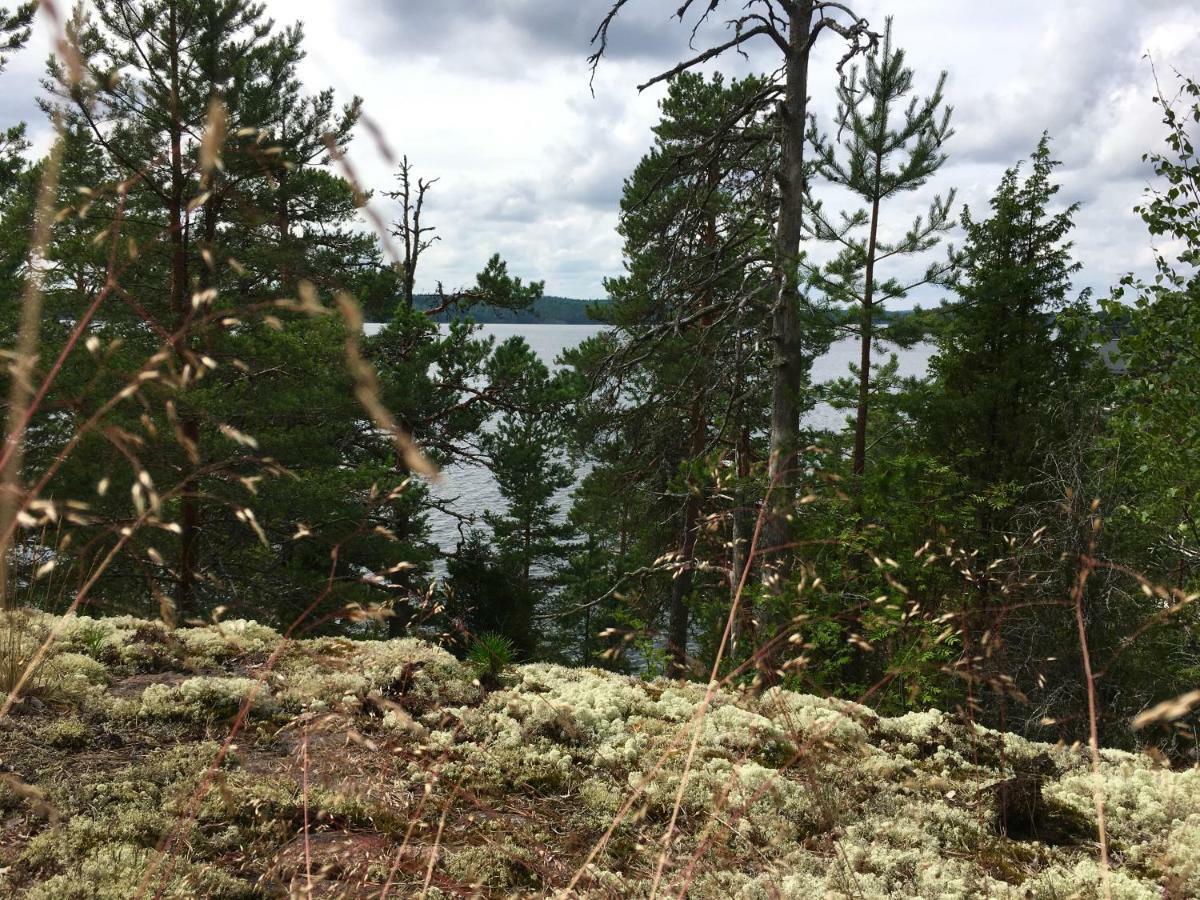 Blueberry Villa At Saimaa Lakeside Taipalsaari Exterior foto