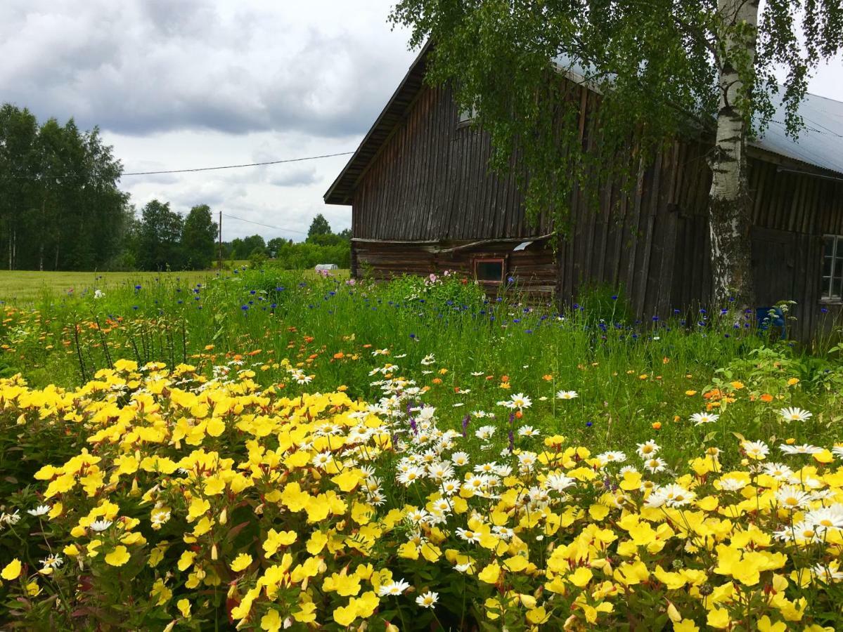 Blueberry Villa At Saimaa Lakeside Taipalsaari Exterior foto